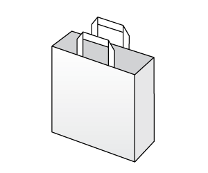 大量紙袋(小型)光沢紙 <br> 220x90x280 <br/>15000枚 1色 <br>@28.8円